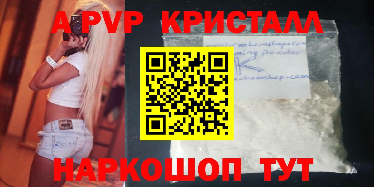 Альфа ПВП СК КРИС Нальчик
